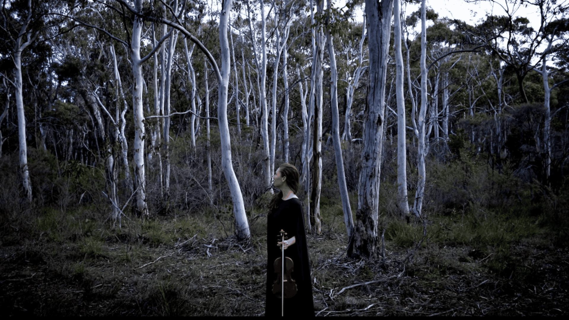 The Lyrebird Festival Megalong