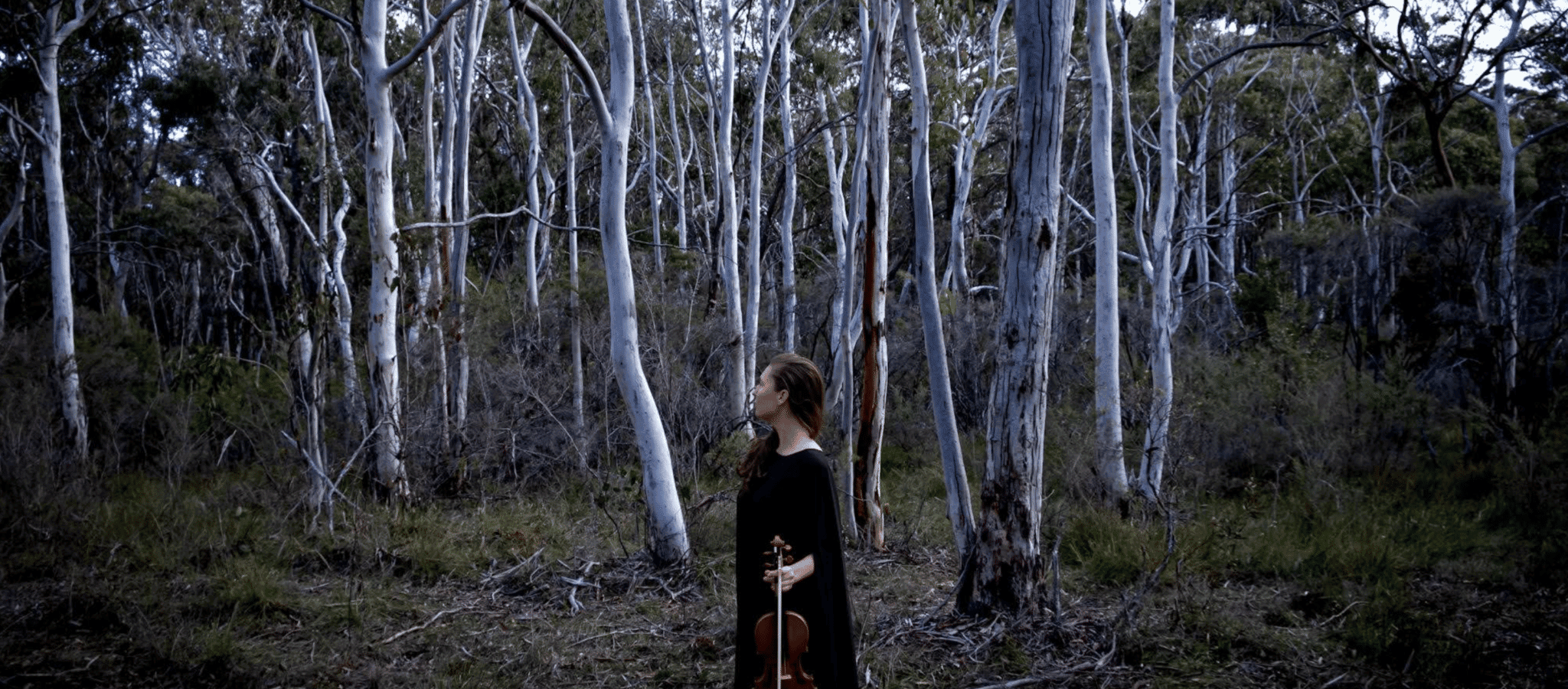 The Lyrebird Festival Megalong