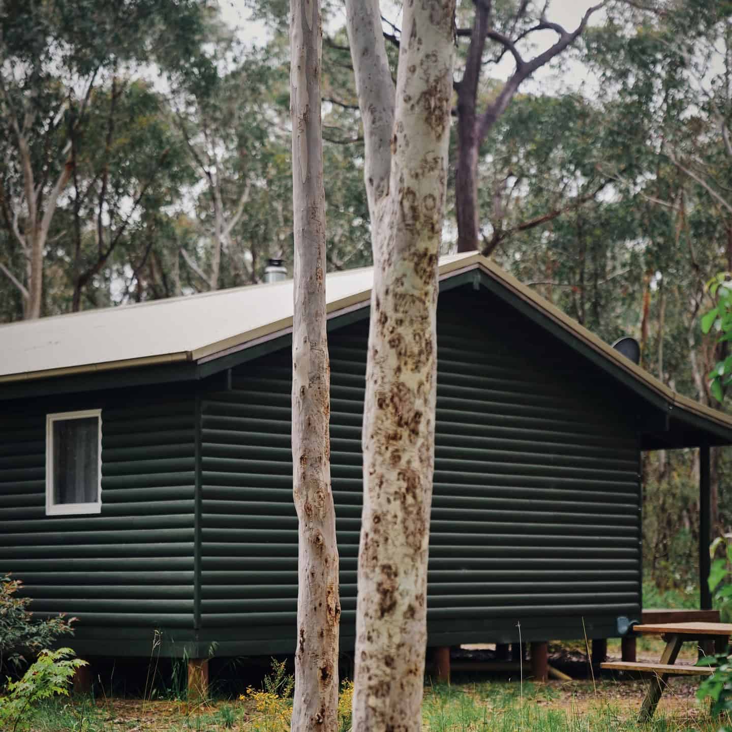 A dark green wooden cabin stands amidst a forest of tall trees. The cabin has a gabled roof and a side window, surrounded by green foliage and grass. Two tree trunks are prominent in the foreground. | Werriberri
