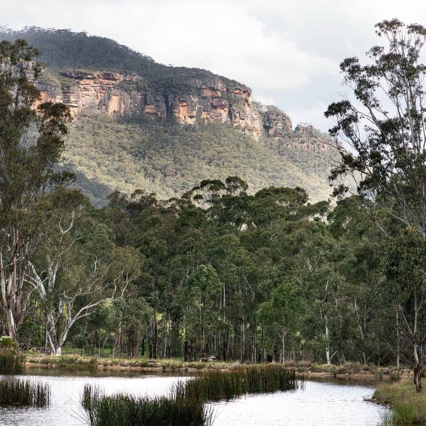 A scenic view of a calm body of water surrounded by lush greenery and tall trees, with a backdrop of a rocky, forested mountain under a partly cloudy sky. | Megalong Restaurant