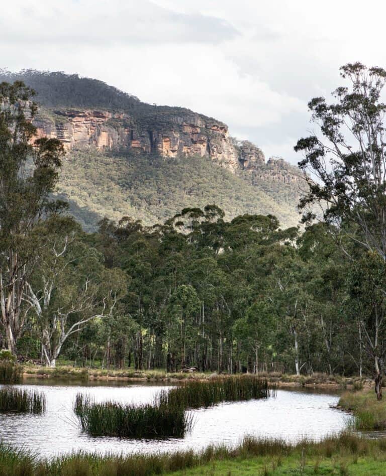 A scenic view of a calm body of water surrounded by lush greenery and tall trees, with a backdrop of a rocky, forested mountain under a partly cloudy sky. | Megalong Restaurant