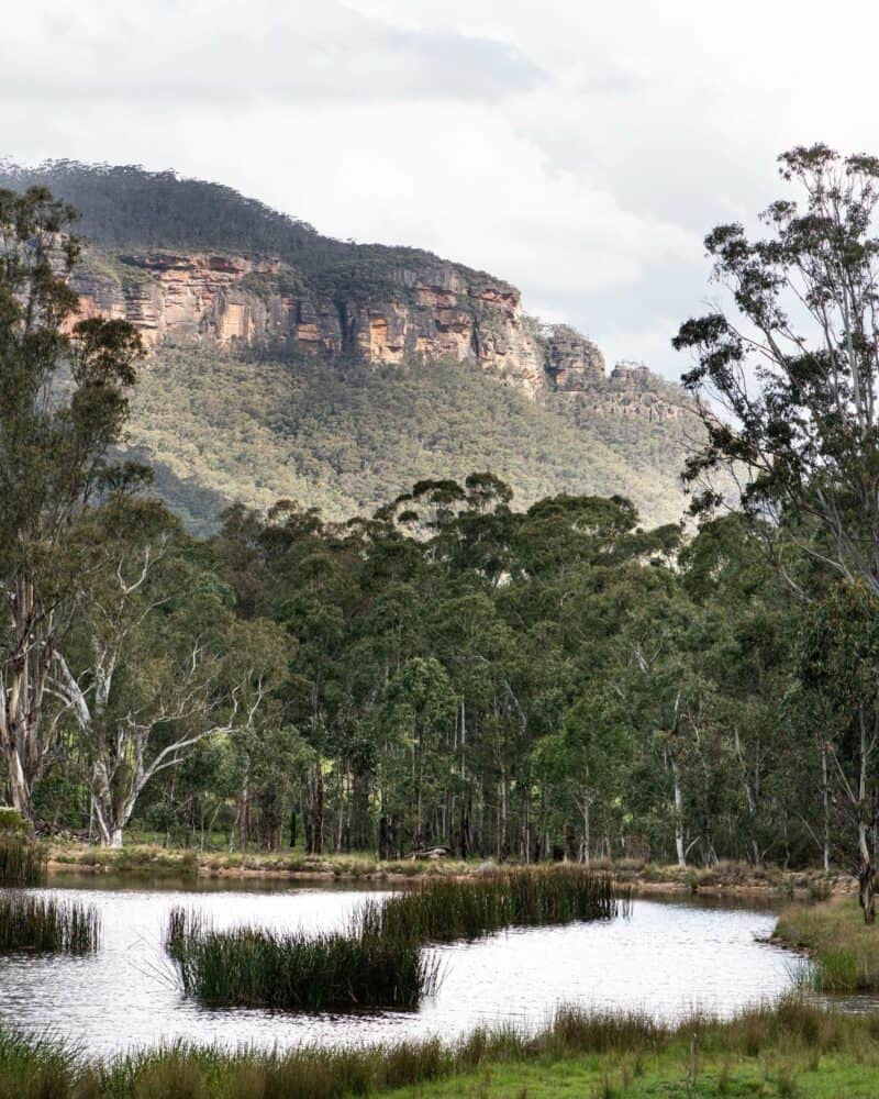 A scenic view of a calm body of water surrounded by lush greenery and tall trees, with a backdrop of a rocky, forested mountain under a partly cloudy sky. | Megalong Restaurant