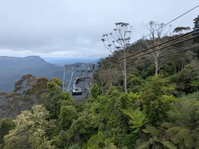 A cable car travels above lush green forest and hills, with metal cables stretching across the scene and distant Blue Mountains under a cloudy sky, an inspiring reason to visit Scenic World Blue Mountains. | Werriberri
