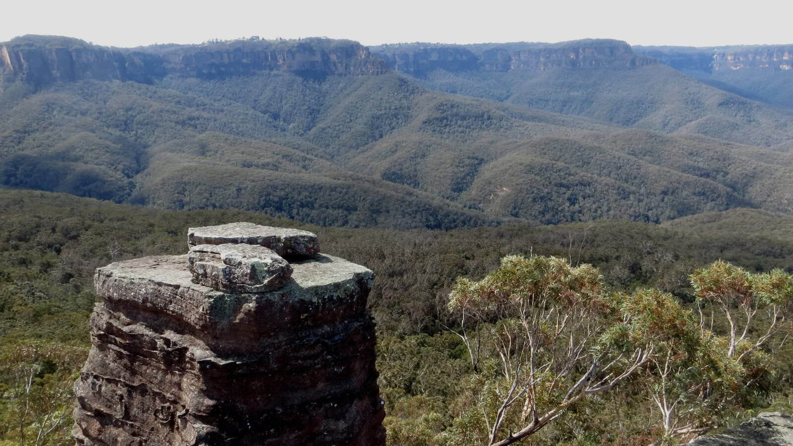 A rocky outcrop, known as the Ruined Castle, rises above dense green forest in the Blue Mountains, with distant cliffs and plateaus unfolding under a hazy sky. | Werriberri
