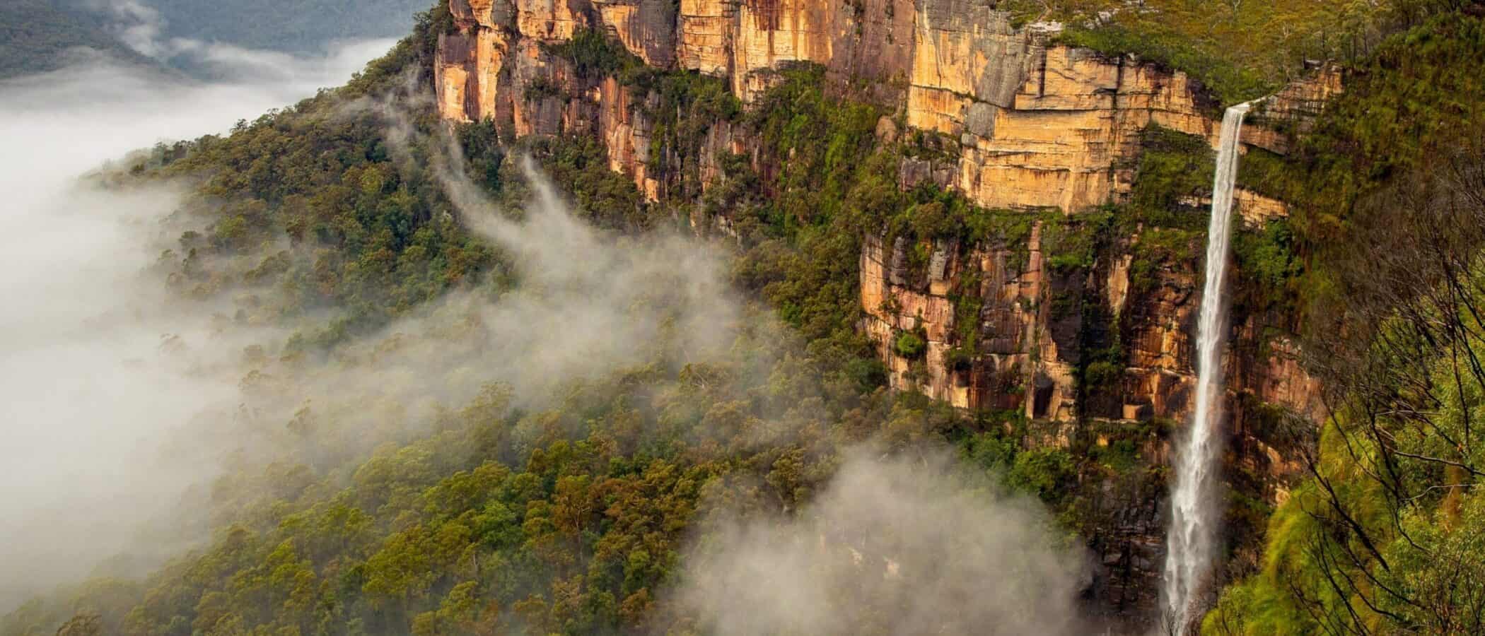 A tall waterfall cascades down a steep, orange cliff surrounded by dense green forest and mist at Govetts Leap Lookout, with distant plateaus visible through the fog. | Werriberri