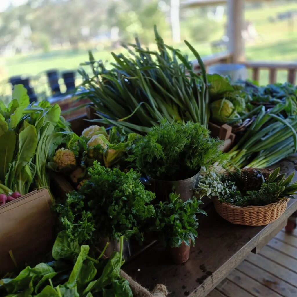 Fresh green vegetables and herbs displayed on a wooden farm gate table.