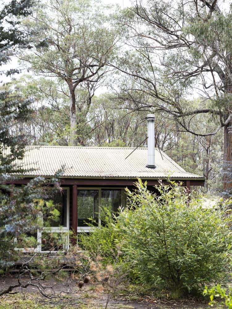 Forested house exterior with trees and shrubs at LOT 101 staging site.