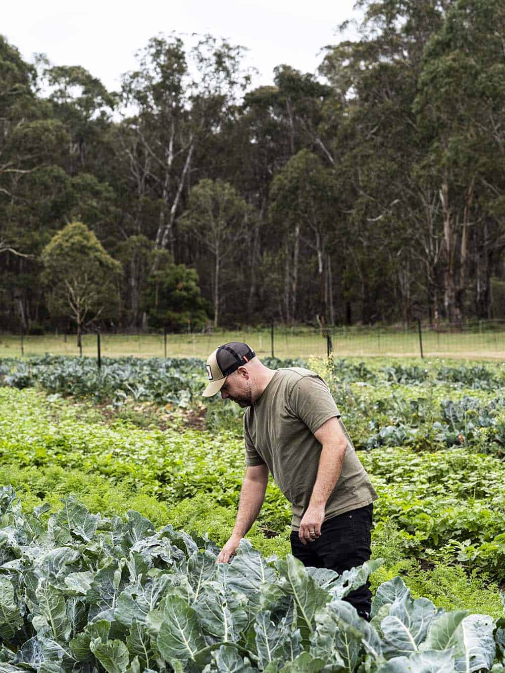 Farmer inspecting crops in lush green farm at LOT 101.