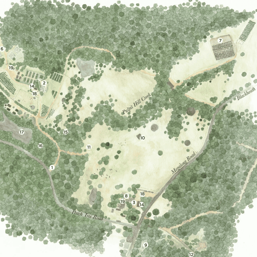 Aerial view of LOT 101 park with walking trails and green spaces.