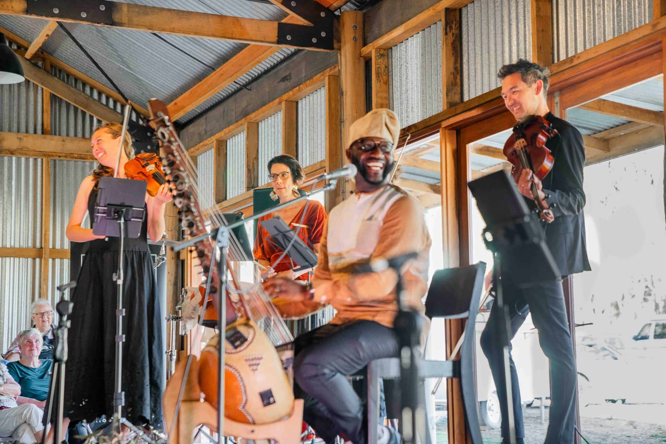 Live musical performance at Megalong Valley Music Festival 2027.