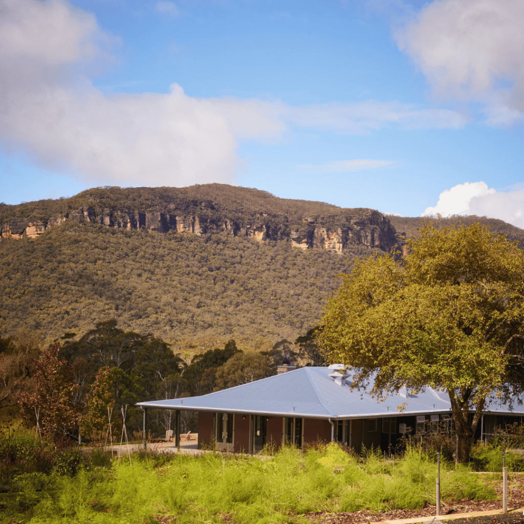 Modern house with a mountain backdrop and lush greenery in a rural setting.