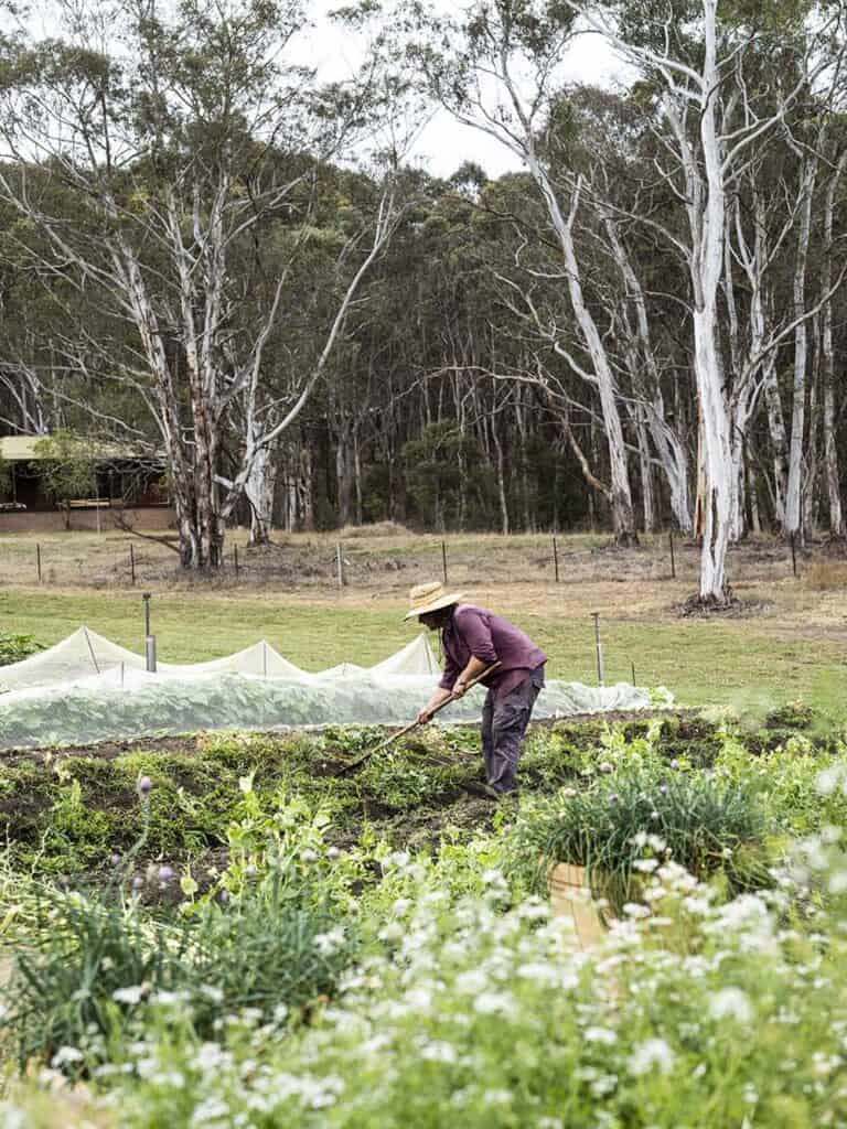Farmer working in lush garden with trees and flowers in Megalong.