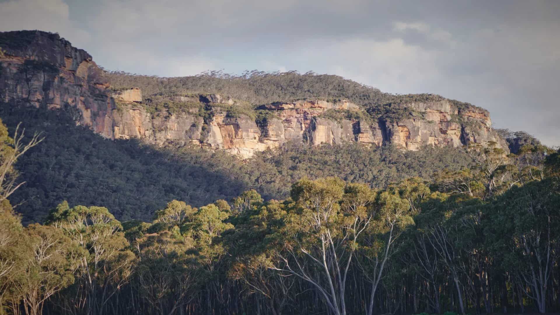 Sandstone escarpment cliffs rising above eucalyptus forest in the Megalong Valley