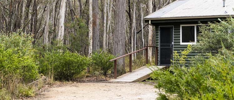 Cozy retreat cabin surrounded by trees in a peaceful forest environment.