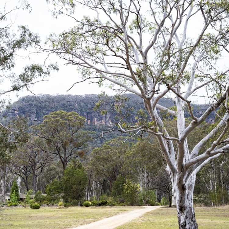 Beautiful natural landscape with trees, mountain, and open field.