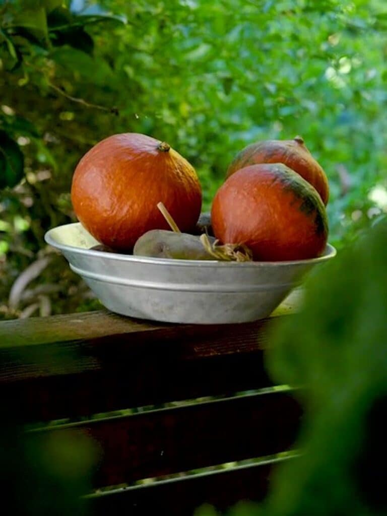 Fresh onions in a metal bowl on a wooden surface with green foliage background.