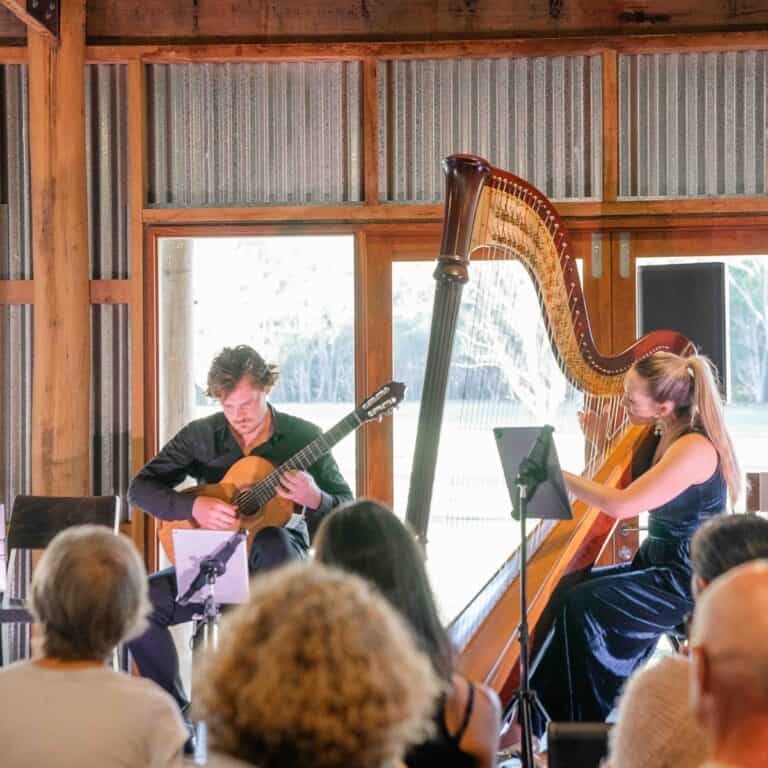 Musicians playing guitar and harp during a live performance at LOT 101.