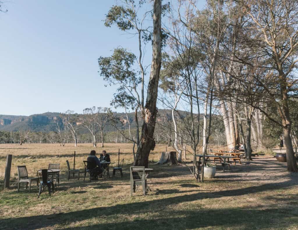 Outdoor seating area with tables and chairs under trees at Tea Rooms.