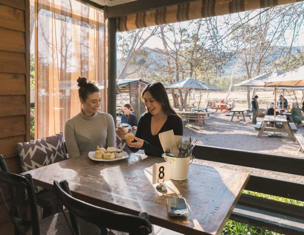 Two women enjoying tea at a cozy indoor tea room with outdoor view.