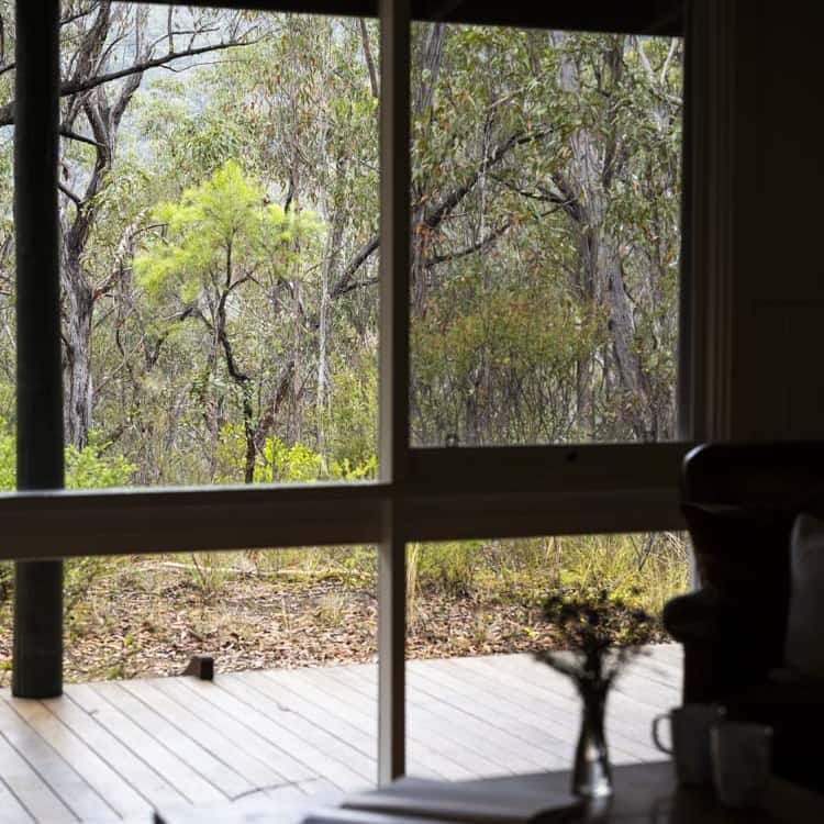 View of trees and forest from porch at LOT 101 staging.