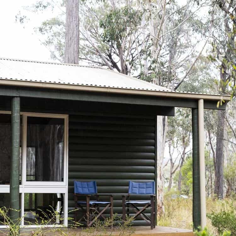 Contemporary cabin with dark logs and outdoor seating in a wooded area.