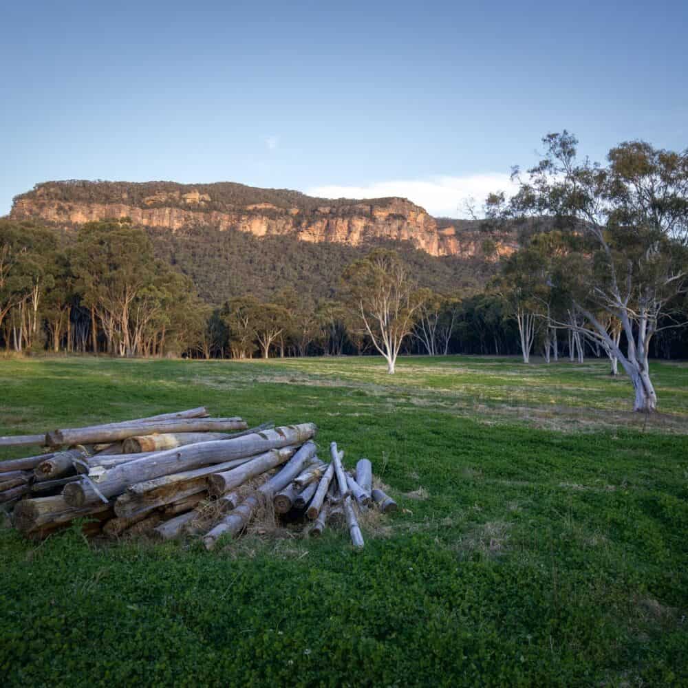 Beautiful landscape with trees, mountain, and clear sky in the background.